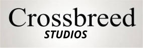 Studios